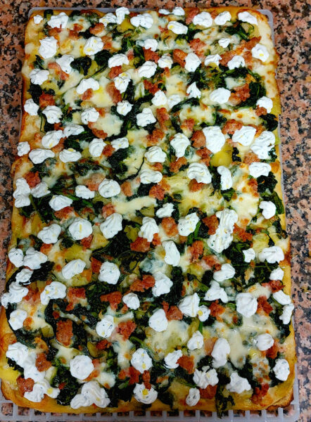 Terra Nostra - Vanessa Savi