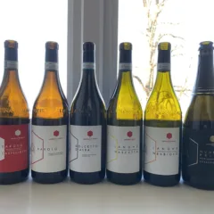 Vini-Castello-di-Perno