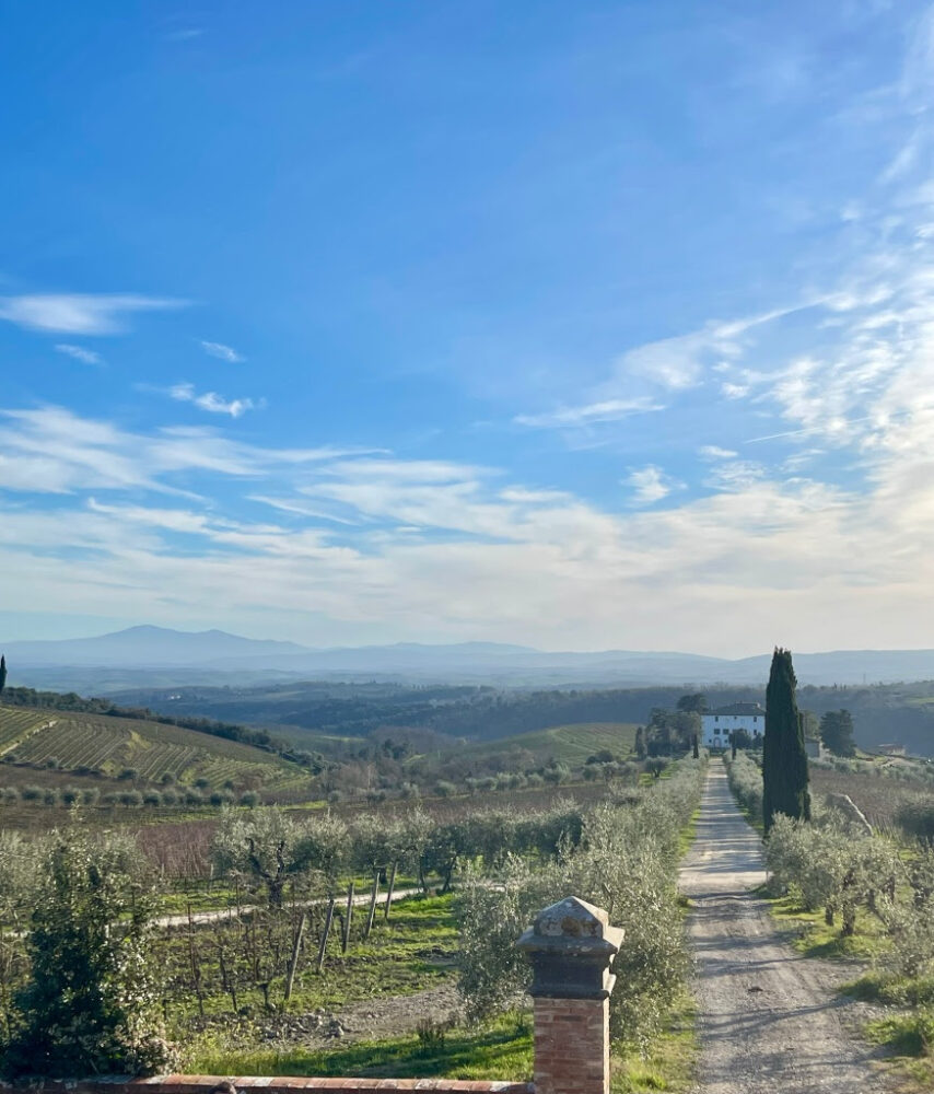 Grandi Cru di Vallepicciola