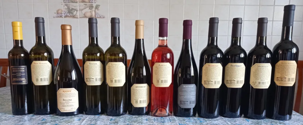 Controetichette vini Casale del Giglio