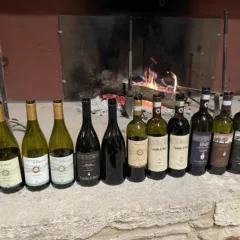 I vini delle tenute della Bacci Wines
