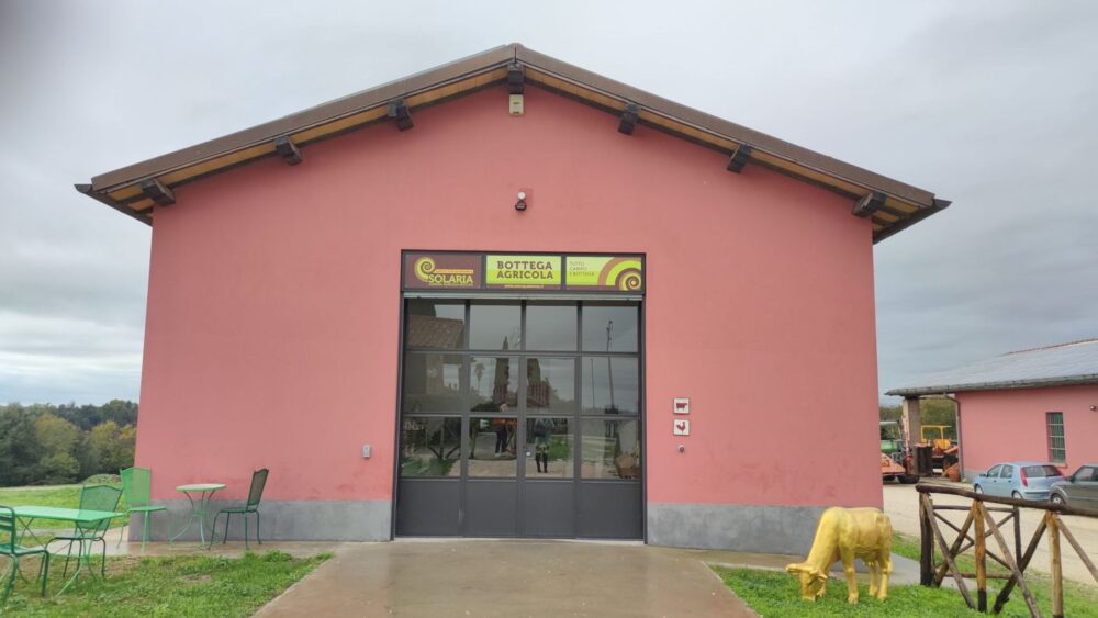 Solaria, azienda agricola Boccea - la bottega agricola