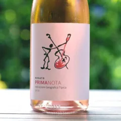 Rosato Primanota 2018 Tenuta Montagnani