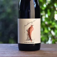 Rosso Puddinga 2019 Il Vecchio Poggio