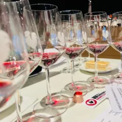 Chianti Classico Collection 2023