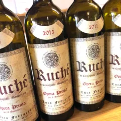 Diverse annate di Opera Prima