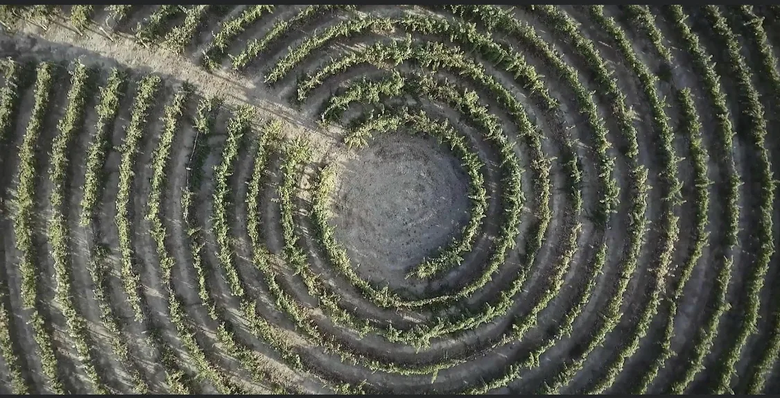 Giardino-Varietale-della-Tenuta-Rosaneti-