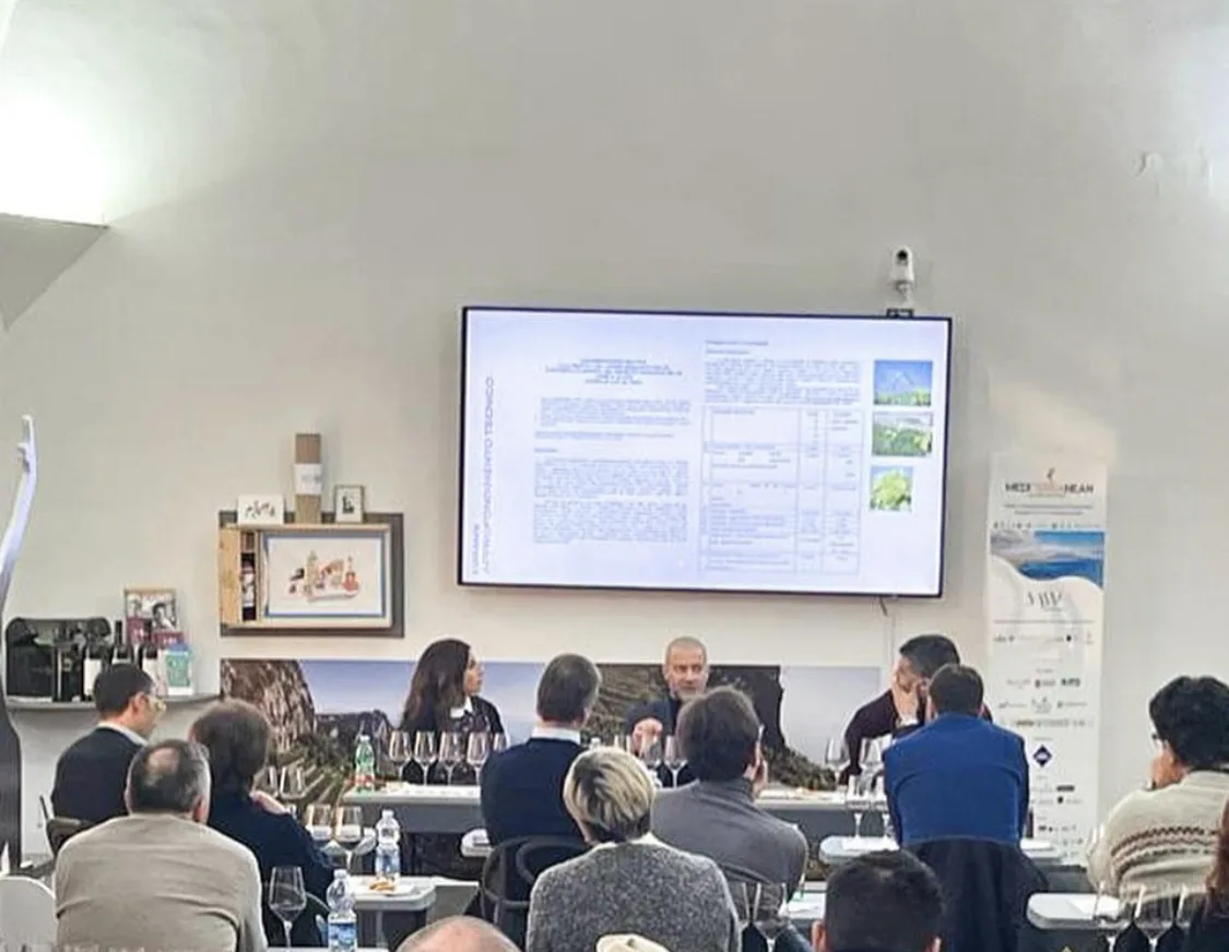 MAAV-Wine-Art-Museum-degustazione-di-Megonio-della-cantina-Librandi