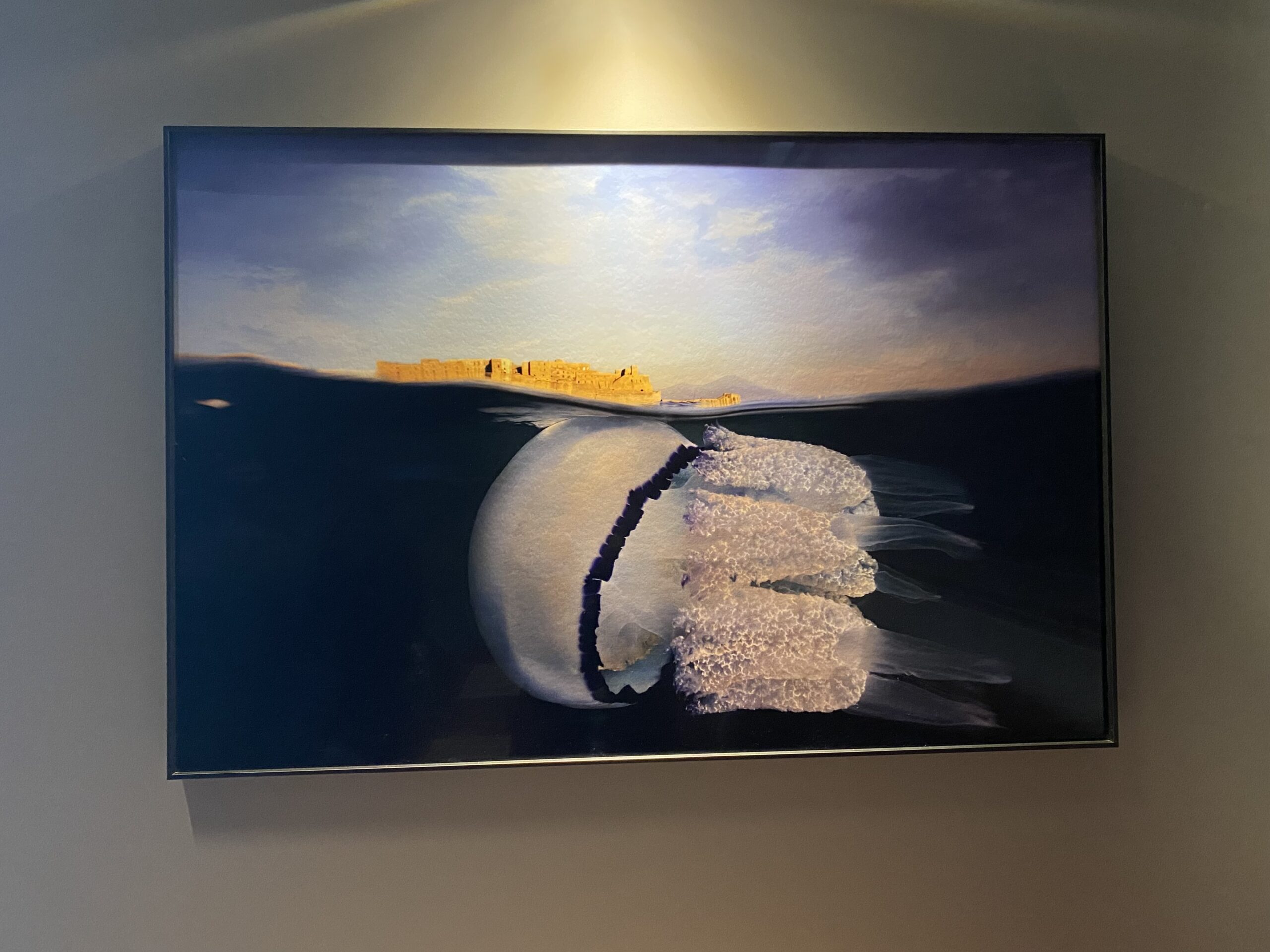 Opera-di-Pasquale-Vassallo