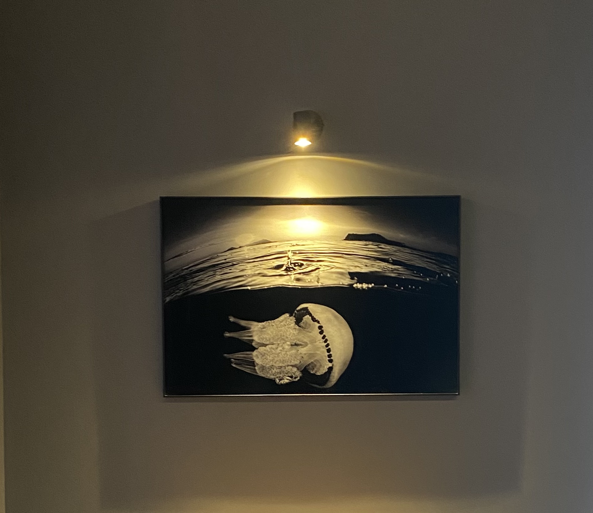 Opera-di-Pasquale-Vassallo