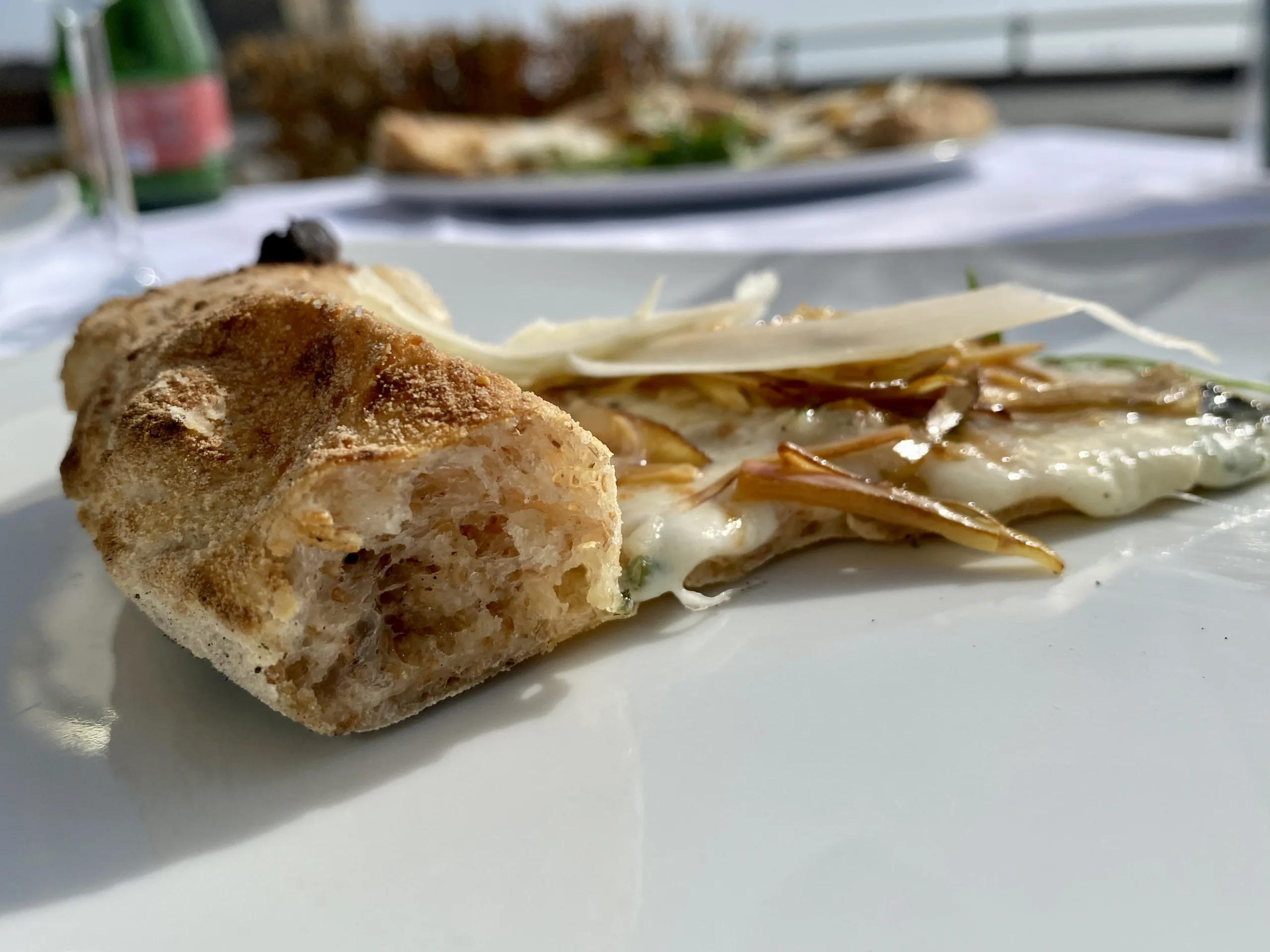 Regina-Margherita-sezione-pizza-Carciofina