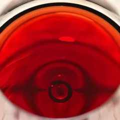 Barolo Cerequio 1993 Michele Chiarlo - colore