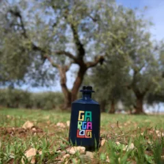 Giuliana Passsalacqua