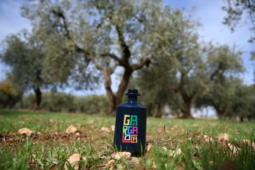 Giuliana Passsalacqua