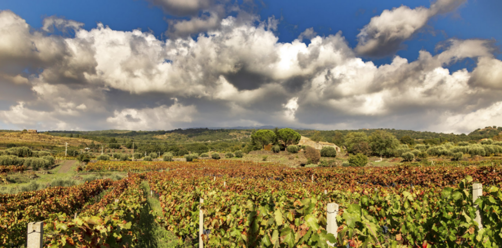 Igt Sicilia Nerello Cappuccio Il Monovitigno 2002 – Benanti