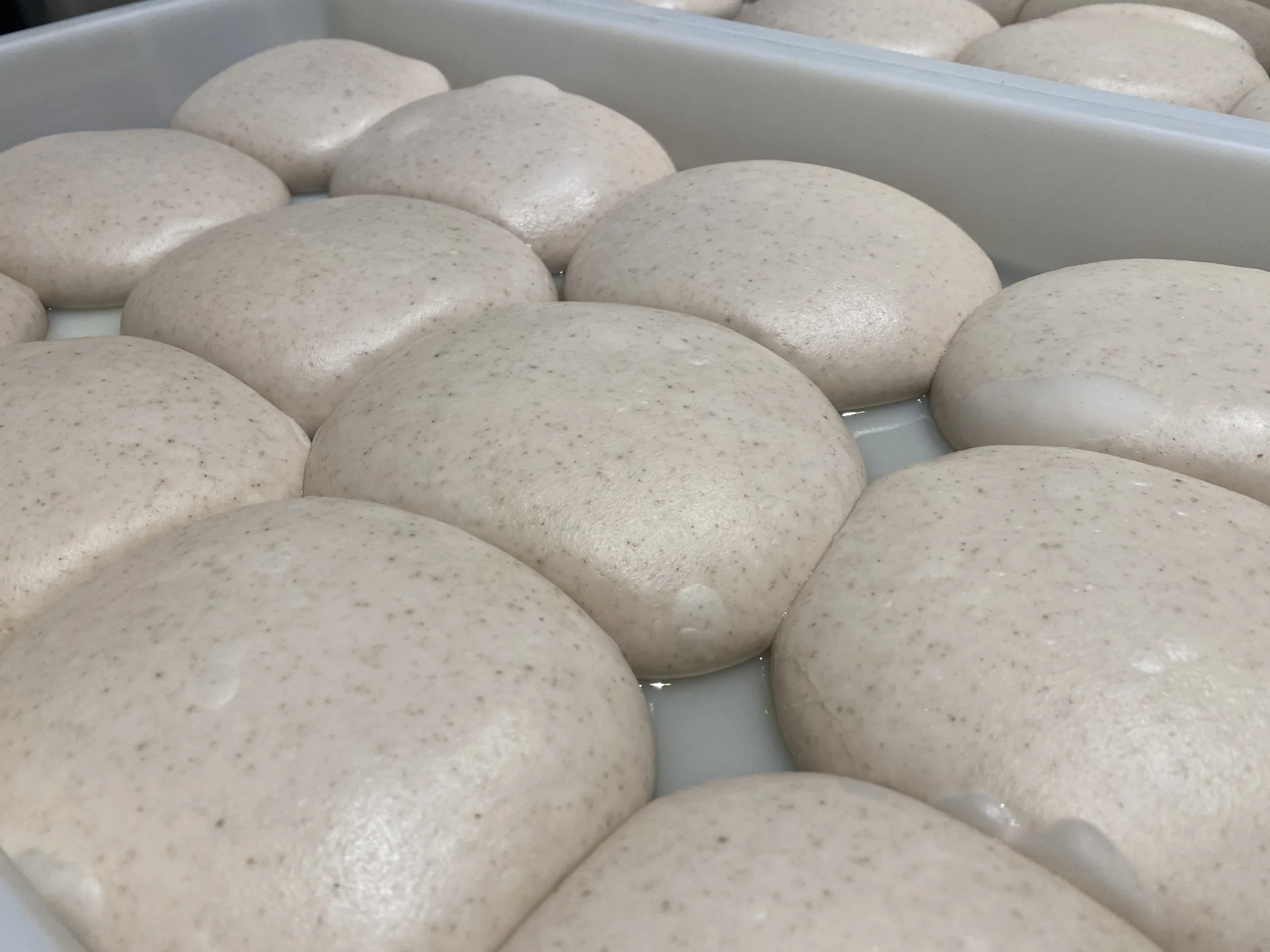 Acqua-e-Farina-Impasto-