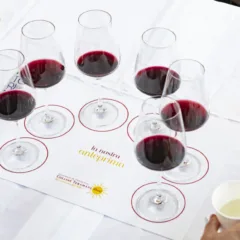 Anteprima Colline Teramane - La Nostra Anteprima