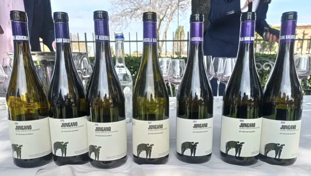 Bottiglie di Jungano Aglianico Paestum Igt San Salvatore