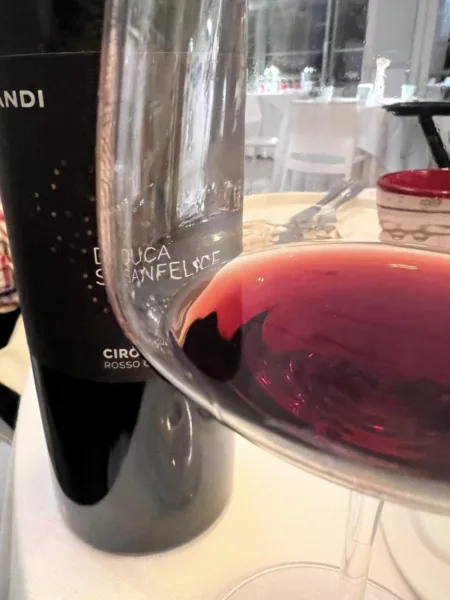 Il Gaglioppo di Librandi