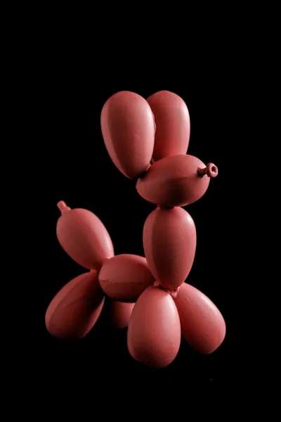Jeff Koons - Baloon Dog