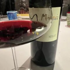 Il Merlo friulano di Miani