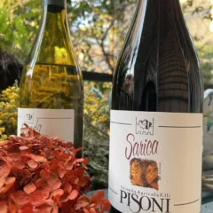 Sarica Rosso - Syrah, Pinot nero