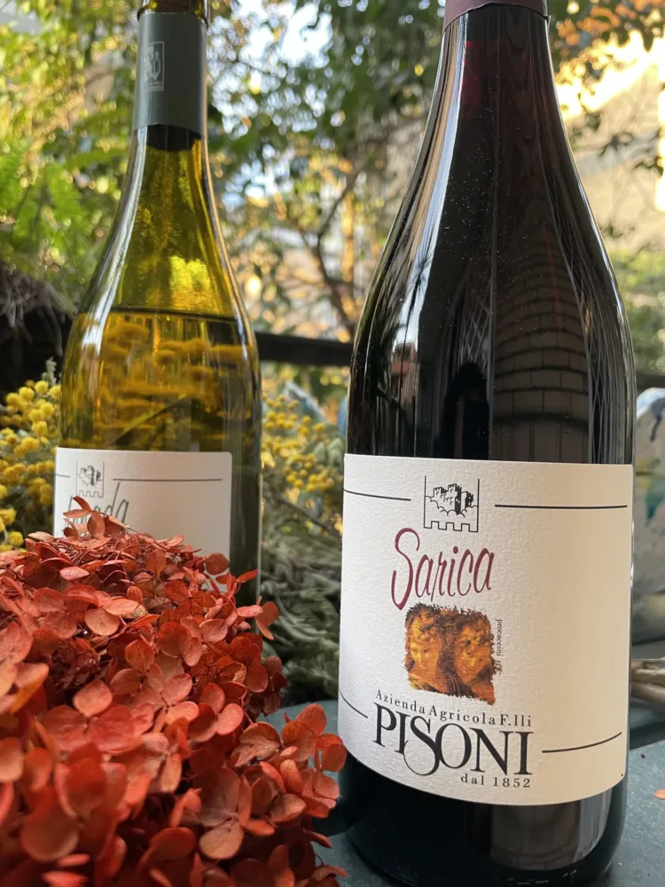 Sarica Rosso - Syrah, Pinot nero