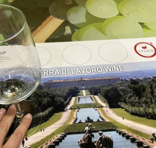 Terra-di-Lavoro-Wine