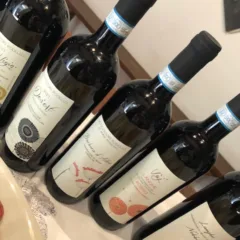 Viticoltori Rodello - I vini