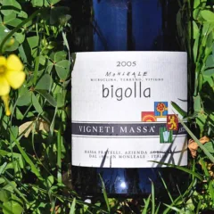 Colli Tortonesi Monleale Bigolla 2005 Vigneti Massa