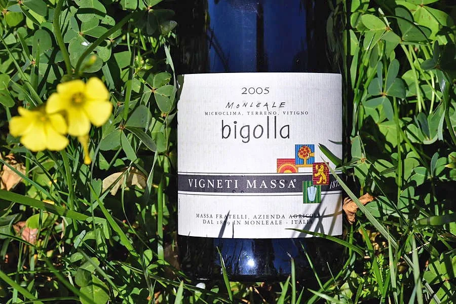 Colli Tortonesi Monleale Bigolla 2005 Vigneti Massa