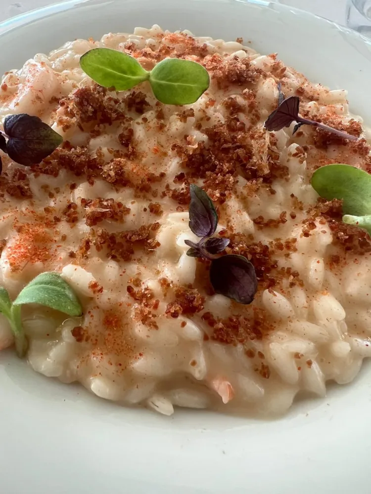 Yacht Club - Risotto al beurre cafe de paris, gamberi bianchi e san daniele croccante