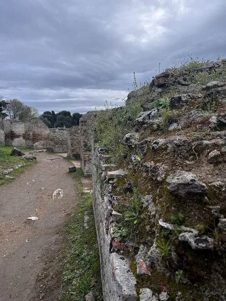 Cilento Tastes Il Parco dei Templi