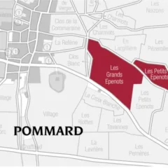 A Pommard, Les Epenots coprono una superficie di 25,29 ettari
