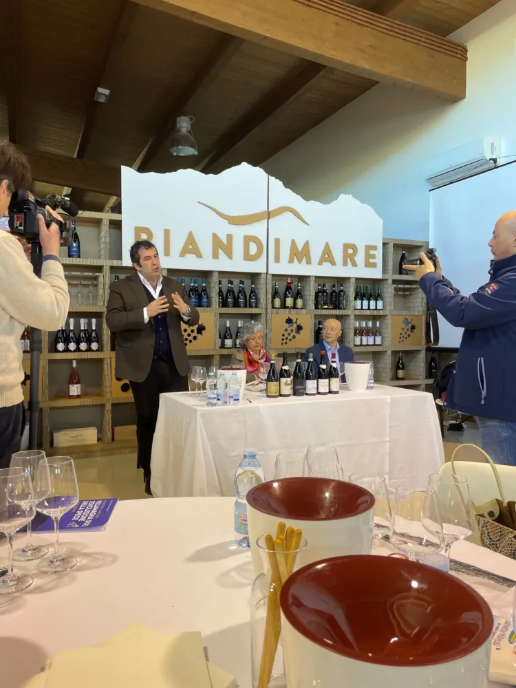 Consorzio Vini D'Abruzzo