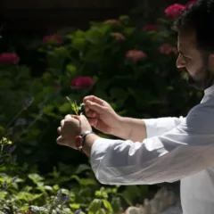 Chef Salvatore Aprea nell'orto del ristorante Da Tonino a Capri