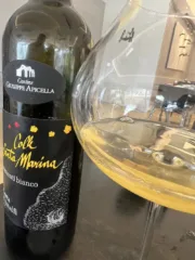 Il vino bianco di Prisco Apicella a Tramonti