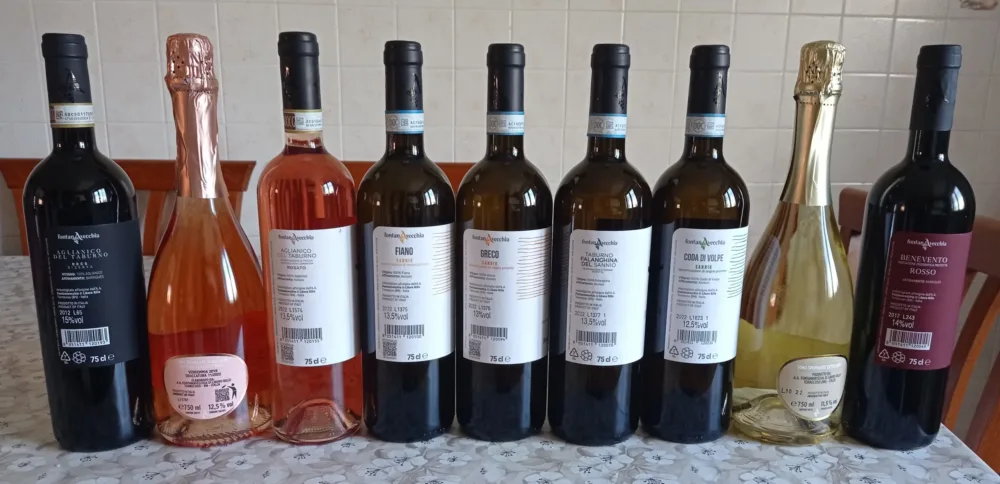 Controetichette vini Fontanavecchia