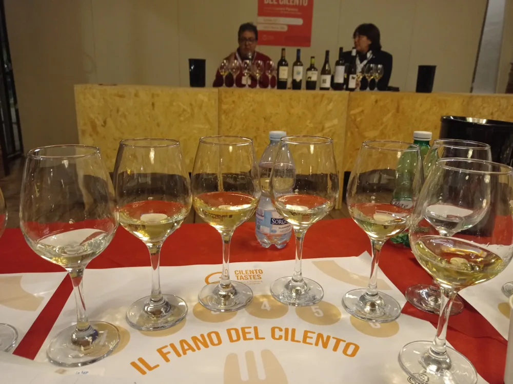 Fiano del Cilento