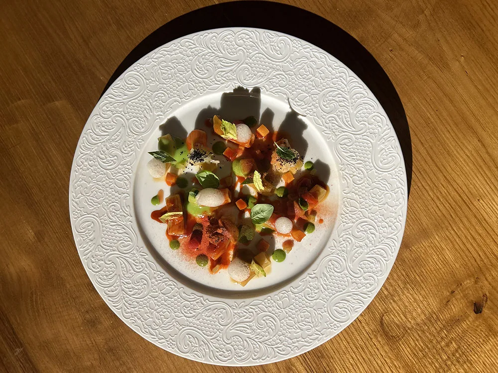 Evolution – Scarto Zero - Giovanni Gigante