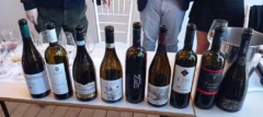 Paestum Wine Fest Bottiglie Vini Estremi Campani
