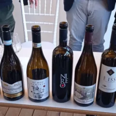 Paestum Wine Fest Bottiglie Vini Estremi Campani