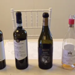 Paestum Wine Fest Bottiglie di vino Sannio Wine