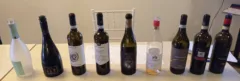 Paestum Wine Fest Bottiglie di vino Sannio Wine