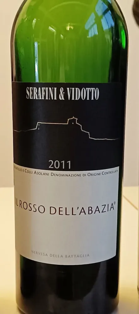 Serafini & Vidotto- 2011
