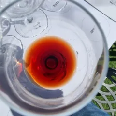 Argiano – Brunello di Montalcino 1979