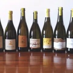 ColFondo Agricolo - bottiglie