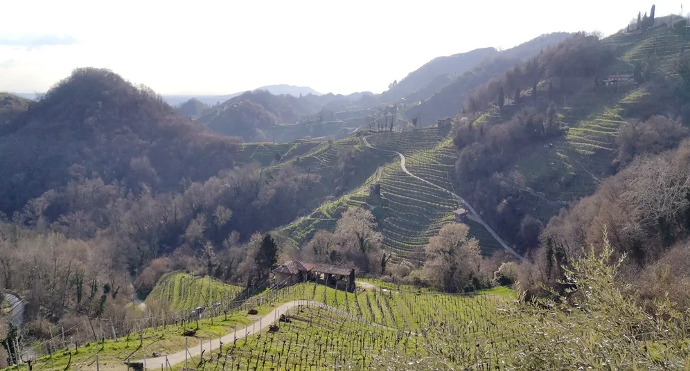 ColFondo Agricolo - colline prosecco