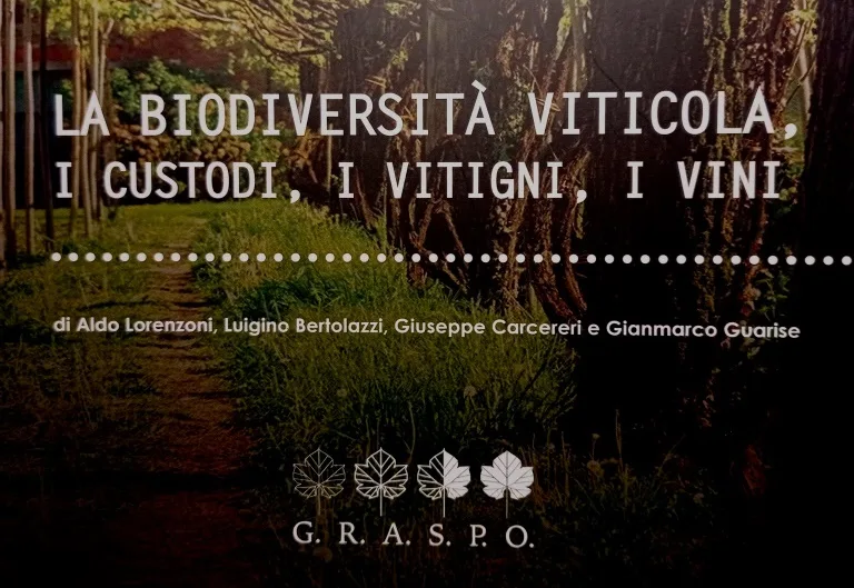 La biodiversità vinicola sta anche nella biodiversità degli uomini