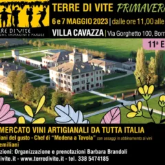 terre di vite Primavera